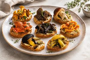 9 Best Porcini Appetizers for a Special Meal