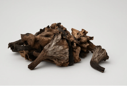 Black Trumpet. - 1LB