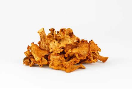 Chanterelle (Dried) - 1LB