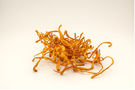 Сушени кордицепс (Cordyceps militaris) – 1 lb