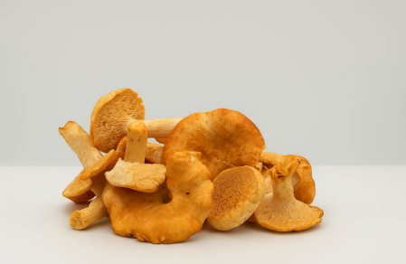 Hedgehog Mushroom - 1LB
