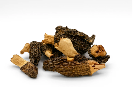 Morel (Dried, Whole) - 1LB