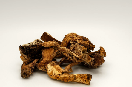 Porcini (Dried) - 1LB