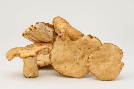 Sweet Tooth Mushroom - 1LB