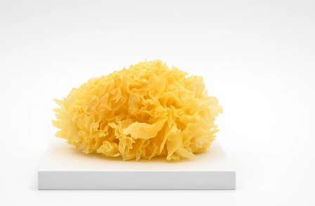 Tremella (Dried) - 1LB