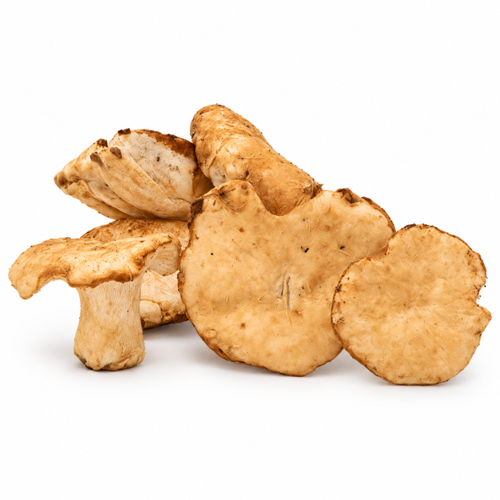 Fresh Sweet Tooth mushrooms on white background